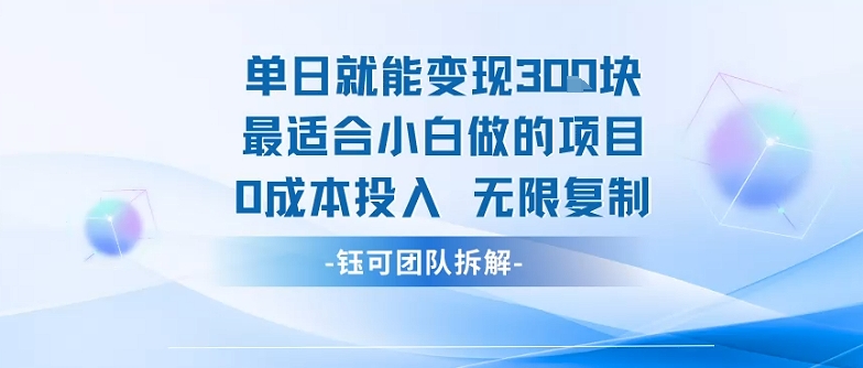 单日就能变现3张最适合小白做的项目0成本投入 无限复制-zhichuangquan