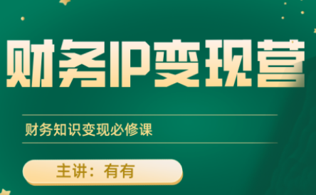 有有老师·财务IP变现营，财务知识变现必修课-zhichuangquan