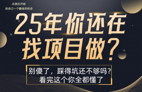 25年，你还在疯狂的找项目吗？别傻了，看完这个你都懂了【揭秘】-zhichuangquan