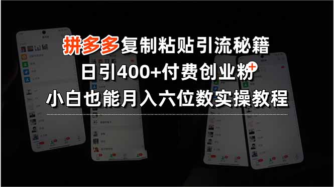 拼多多复制粘贴引流秘籍，日引400+付费创业粉，小白也能月入六位数实操…-zhichuangquan