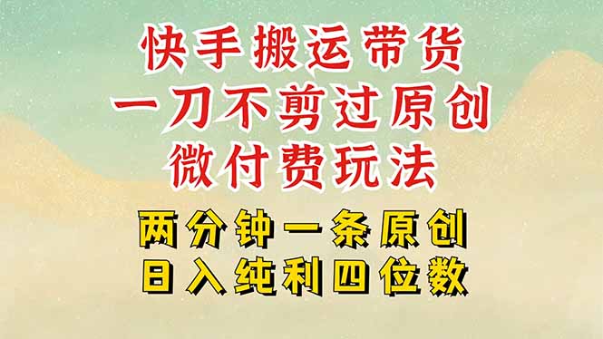 快手黑科技搬运带货，一刀不剪过原创，微付费投流玩法，轻松日入四位数…-zhichuangquan