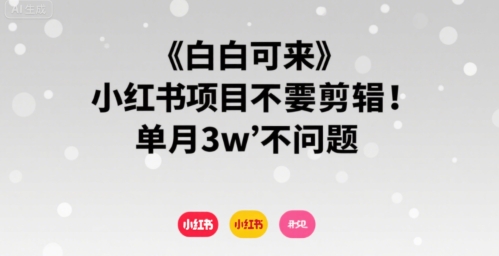 小白可来 小红书项目不需要剪辑 单月3w不是问题-zhichuangquan