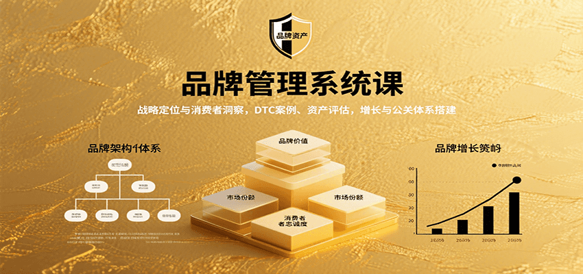品牌管理系统课：战略定位与消费者洞察，DTC案例、资产评估，增长与公关体系搭建-zhichuangquan