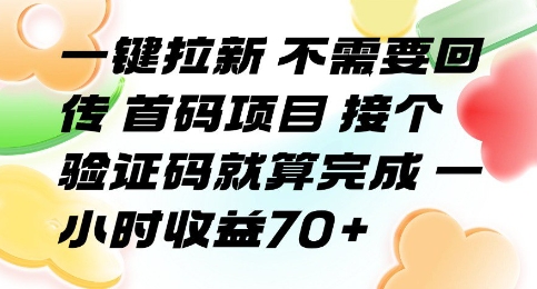 一键拉新 不需要回传 首码项目 接个验证码就算完成 一小时收益70+【揭秘】-zhichuangquan
