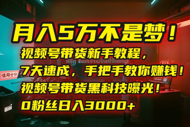 月入5万不是梦！视频号带货新手教程，7天速成，手把手教你赚钱！视频号…-zhichuangquan