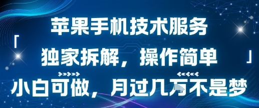 苹果手机技术服务，独家拆解，操作简单，小白可做，月过1W不是梦-zhichuangquan