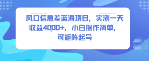 风口信息差蓝海项目，实测一天收益4k+，小白操作简单，可矩阵起号-zhichuangquan