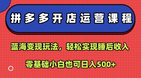 拼多多开店运营课程：蓝海变现玩法，轻松实现睡后收入，零基础小白也可日入5张-zhichuangquan