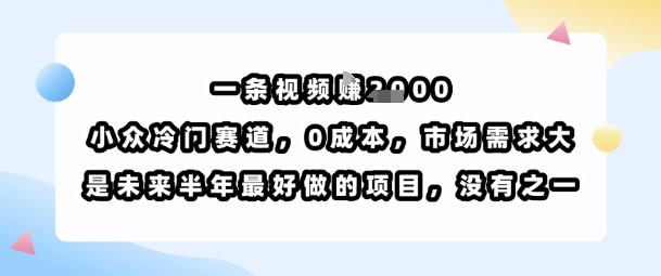 一条视频挣1k，小众冷门赛道，0成本，市场需求大，是未来半年最好做的项目，没有之一-zhichuangquan