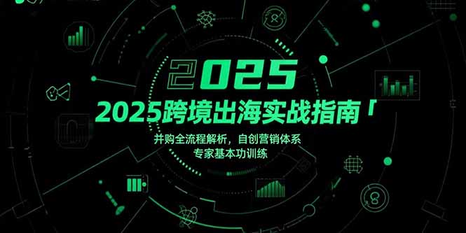2025跨境出海实战指南，并购全流程解析，自创营销体系，专家基本功训练-zhichuangquan