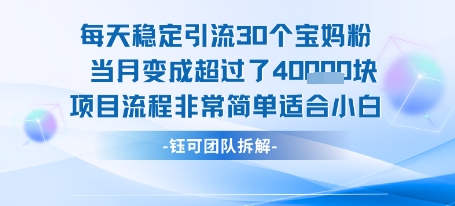 每天稳定引流30个人 当月变成超过了4个W项目流程非常简单适合小白-zhichuangquan