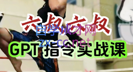 六叔的AI指令实战课(更新7月)-zhichuangquan