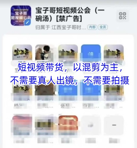 宝子哥头部团队短视频带货，以混剪为主，不需要真人出镜，不需要拍摄【更新8月】-zhichuangquan