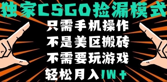 CSGO自动捡漏项目，最新独家玩法，不是美区搬砖，不需要了解和玩游戏，新手小白轻松月入1W+【揭秘】-zhichuangquan