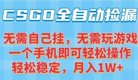 CSGO自动捡漏项目，最新独家玩法，一个手机可操作，新手小白轻松月入1W+，操作简单易上手【揭秘】-zhichuangquan