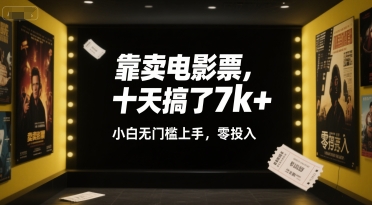 靠卖电影票，十天搞了7k+，小白无门槛上手，零投入【揭秘】-zhichuangquan