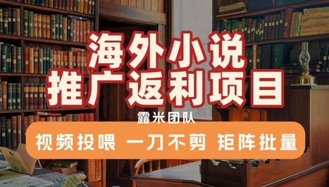 海外小说推广返利项目，视频投喂， 一刀不剪，矩阵批量-zhichuangquan
