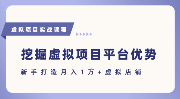 抓住虚拟项目各平台优势，新手轻松月入1W+(给出具体建议)-zhichuangquan