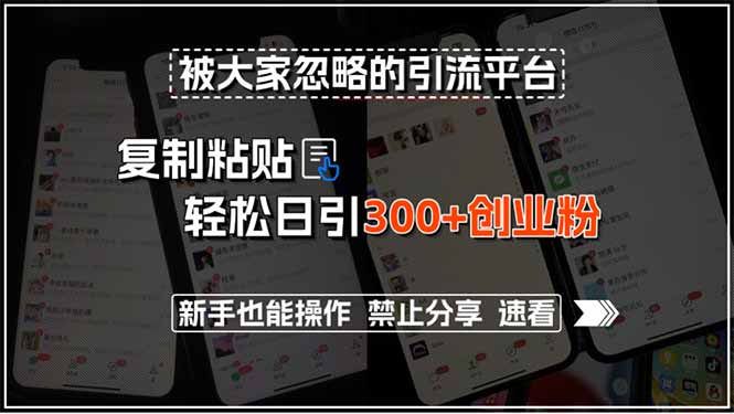 被大家忽略的引流平台，复制粘贴轻松日引300+创业粉，新手也能操作，禁…-zhichuangquan