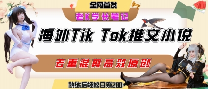 海外tiktok小说推文暴力项目，高停留率，高转化率，上手后一天搞顿饭钱不是问题-zhichuangquan