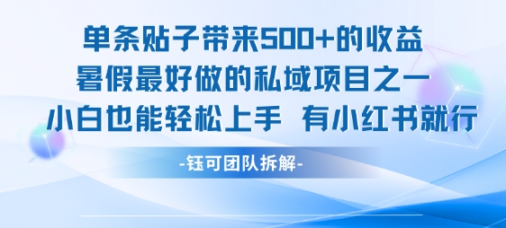 单条贴子带来5张的收益，暑假最好做的私域项目之一，小白也能轻松上手，有小红书就行-zhichuangquan