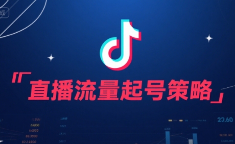 尼采老师·直播流量起号实战课-zhichuangquan