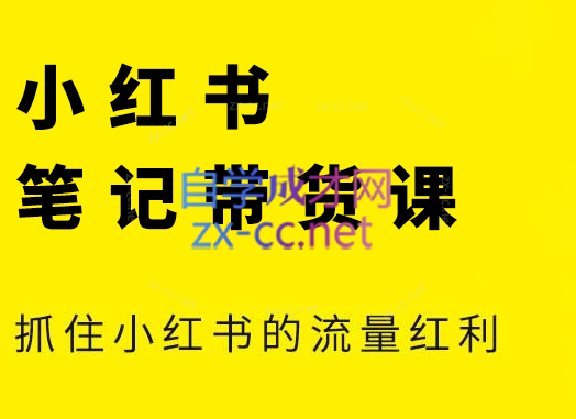 张宾·小红书笔记带货课(更新6月)-zhichuangquan