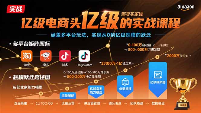 亿级电商头部卖家的实战课程：涵盖多平台玩法，实现从0到亿级规模的跃迁-zhichuangquan