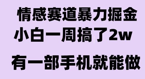 情感暴力掘金项目，新人操作一周挣了2W，长期稳定小白可做【揭秘】-zhichuangquan