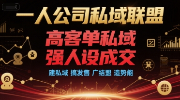 一人公司私域联盟，高客单私域，强人设成交，建私域 搞发售 广结盟 造势能-zhichuangquan