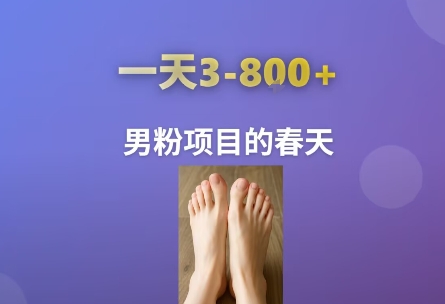 AI一键生成美女素材，一天收益3-8张，男粉项目的春天-zhichuangquan