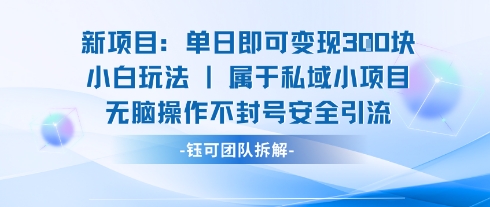 新项目单日即可变现3张的小白玩法无脑操作不封号安全引流-zhichuangquan