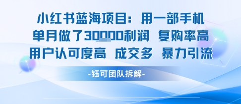 小红书蓝海项目，一部手机单月做了3W利润，小白也能月入过1W用户认可度高成交多-zhichuangquan