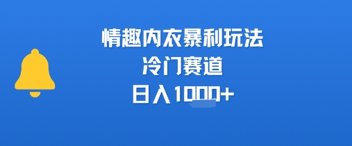 情趣内衣暴利玩法，冷门赛道，日入1k+-zhichuangquan