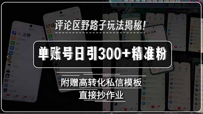 评论区野路子玩法揭秘！单账号日引300+精准粉，附赠高转化私信模板，直…-zhichuangquan