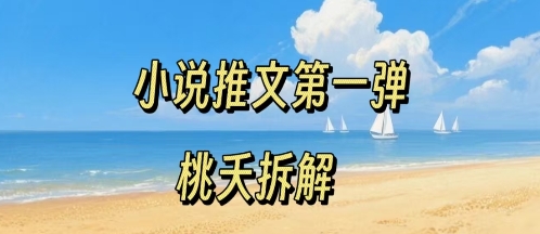 小说推文项目操作全流程第一弹，0粉就能做，门槛低非常适合新手-zhichuangquan
