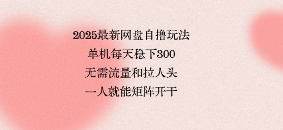 2025最新网盘自撸玩法，单机每天稳下3张，无需流量和拉人头，一个人就可轻松矩阵，全网独一份【揭秘】-zhichuangquan
