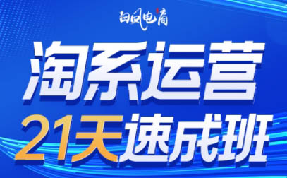 白凤电商·淘系运营21天速成班(更新8月)-zhichuangquan