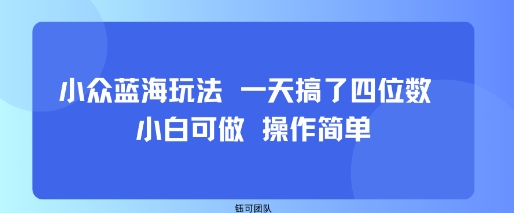 小众蓝海玩法 一天搞了四位数 小白可做 操作简单-zhichuangquan