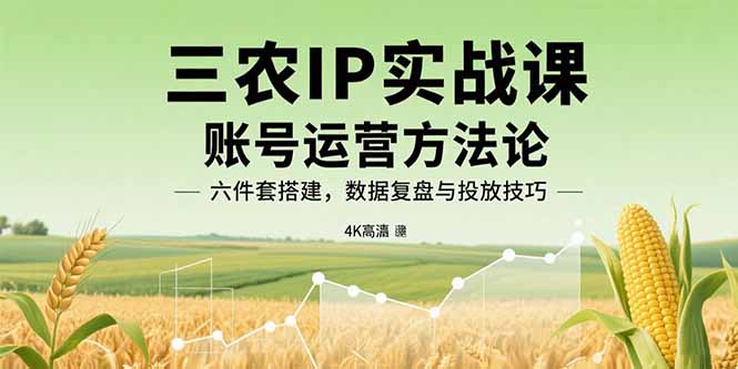 三农IP实战课：账号运营方法论，六件套搭建，数据复盘与投放技巧-zhichuangquan