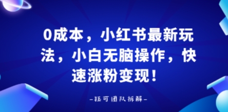 0成本，小红书最新玩法，小白无脑操作，快速涨粉变现-zhichuangquan