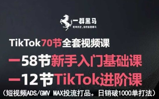 TikTok全套视频课，新手入门+进阶课，短视频ADS-GMV MAX投流打品，日销破1000单打法-zhichuangquan