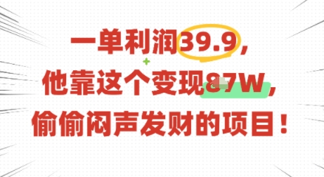 一单利润39.9，有人靠这个变现几十个，偷偷闷声发财的项目-zhichuangquan