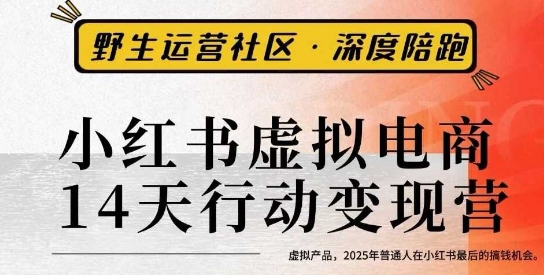 小红书虚拟电商14天变现训练营3.0，​虚拟产品，2025年普通人在小红书最后的搞钱机会-zhichuangquan