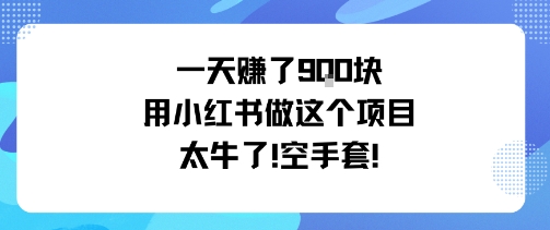 一天挣了9张用小红书做这个项目太牛了，空手套-zhichuangquan