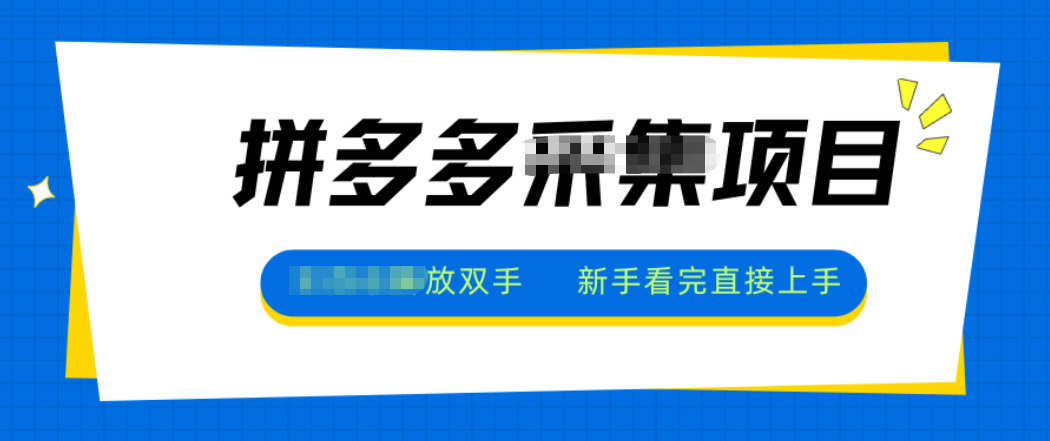 拼多多电商采集，一小时50+，操作简单，零投资-zhichuangquan