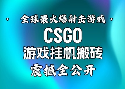 【年底大揭秘】基于全球最火爆的射击CSGO游戏挂G搬砖，日入5张+，震撼公开-zhichuangquan