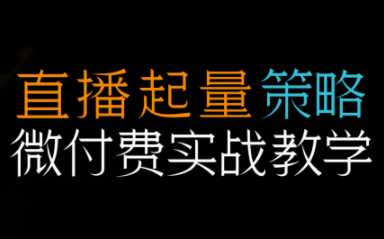 半野老师·直播带货起量与微付费必学课视频号-zhichuangquan