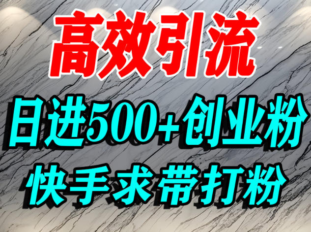 怎么打创业粉？快手求带视角精准引流创业粉，宝妈、学生群体日进500+精准流量-zhichuangquan